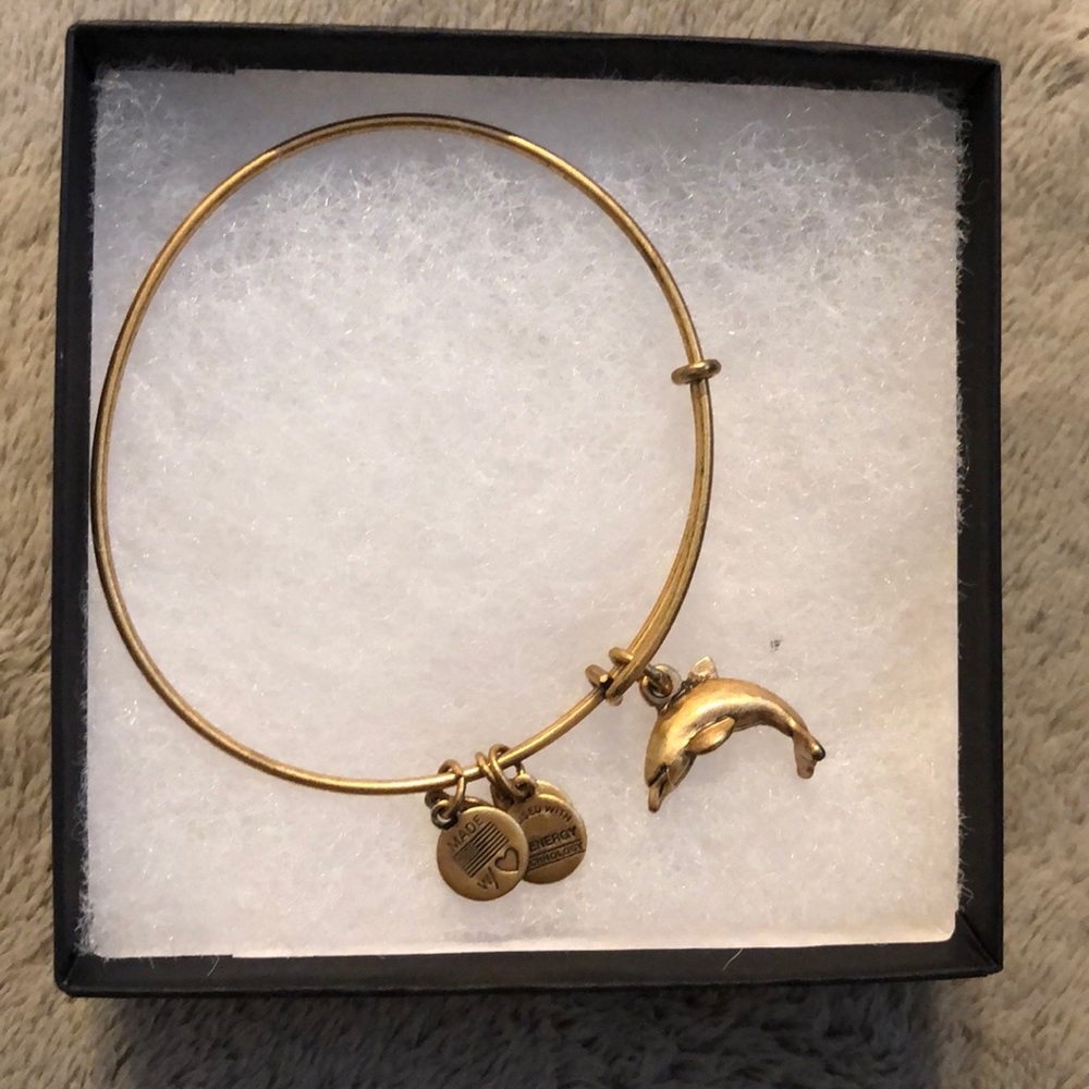 Alex and Ani dolphin bracelet